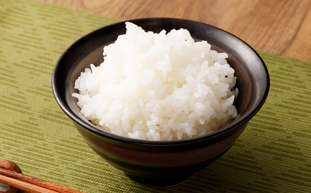 【6ヶ月定期便】テーブルマーク 元気つくし パック ごはん 32食入