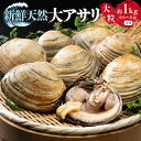 【ふるさと納税】秀品・天然大アサリ 約1kg 希少 大粒サイズ 天然大アサリ 希少 大粒サイズ 特製だし醤油付 CAS冷凍 海鮮バーベキュー BBQ 三河湾産 天然 大アサリ あさり 国産 アサリ 愛知県 田原市 新鮮 砂抜き 海鮮 魚介類 貝 冷凍 人気