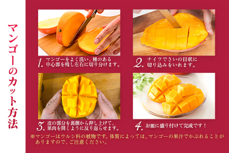 【定期便 完熟マンゴー】2027年出荷 4L×1玉 全4回 果物 フルーツ E221-27