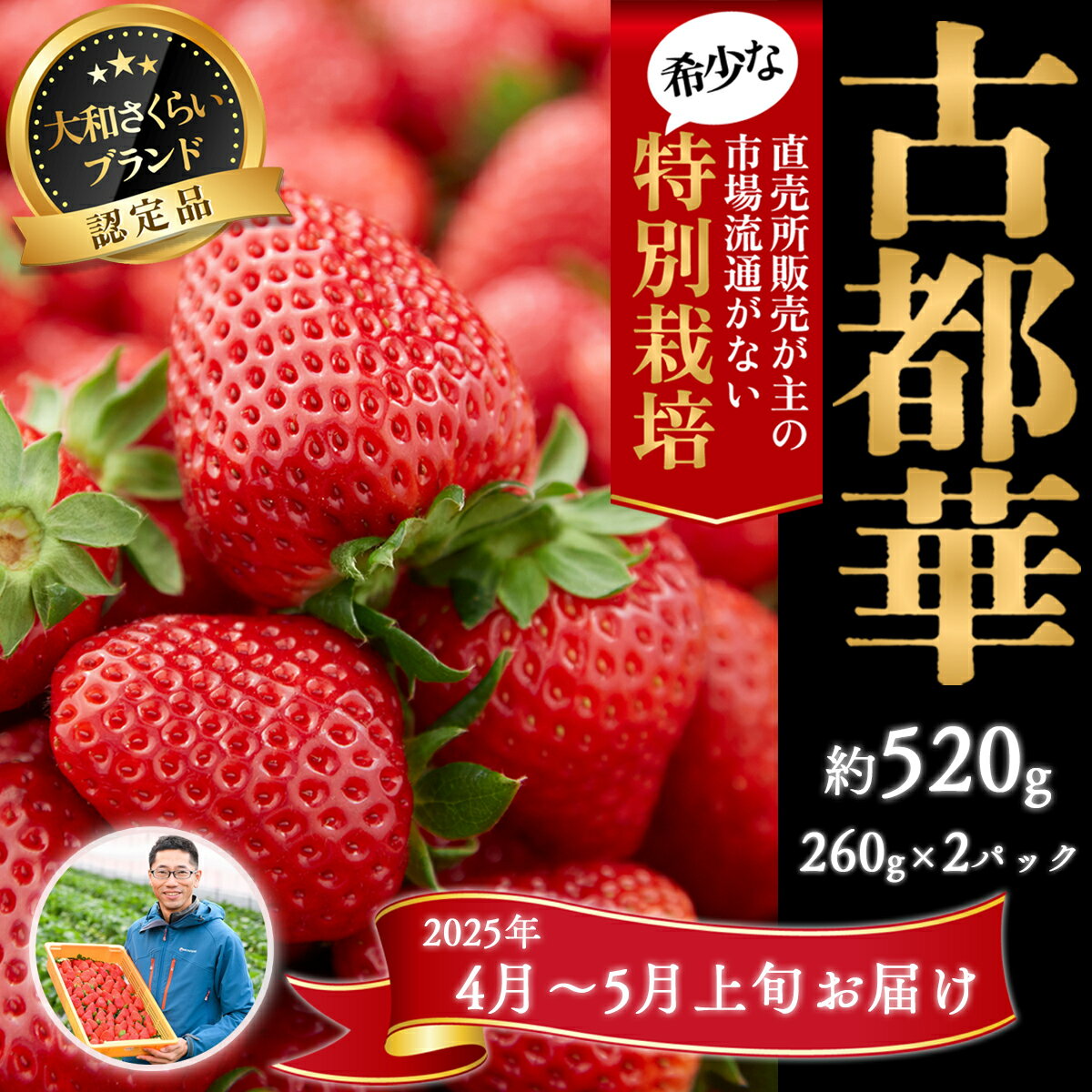 【ふるさと納税】＜4月～5月上旬発送＞減農薬いちご「古都華」2パック 特別栽培農産物／奈良県 苺 先行予約 ジャム 数量限定 期間限定 ブランド 大福 人気 減農薬 特別栽培 Odamaki農園 M-AG24