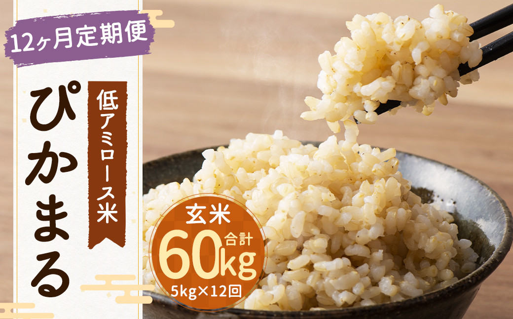 
                  【 新米先行予約 】【 12ヶ月定期便 】低アミロース米ぴかまる 約5kg×12回 玄米 計約60kg 【2026年11月上旬より順次発送開始予定】
                