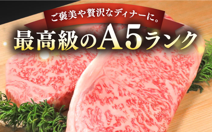 極上 壱岐牛 A5ランク サーロインステーキ 350g×2枚（雌）《壱岐市》【KRAZY MEAT】[JER002] サーロイン ステーキ 希少部位 赤身 牛肉 A5 のし プレゼント ギフト 500