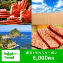 【ふるさと納税】B24-493 鳥取県の対象施設で使える　楽天トラベルクーポン　寄付額20,000円(クーポン6,000円)