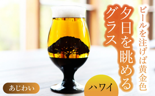 
夕日を眺める グラス あじわい『ハワイ』【丸モ高木陶器】 ビールグラス 酒器 贈答 [TBA166]
