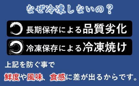 明治27年創業 炭火焼一筋『うなぎの入船』【国産うなぎ】蒲焼き2尾（熟成たれ付）＜2-29＞