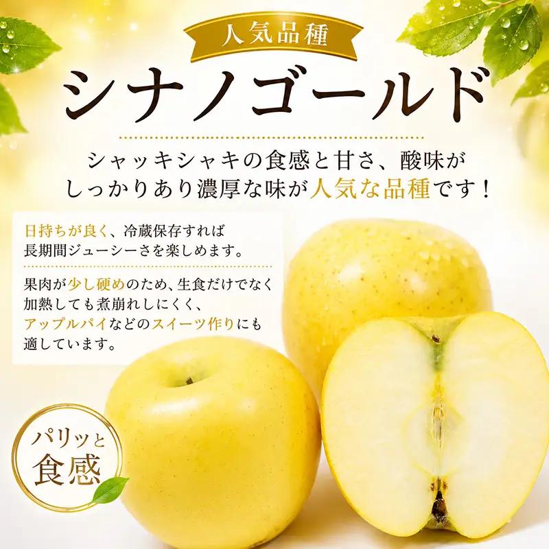 【11月発送開始】シナノゴールド りんご 3kg（8～12玉） 北田りんご園 りんご kitada020