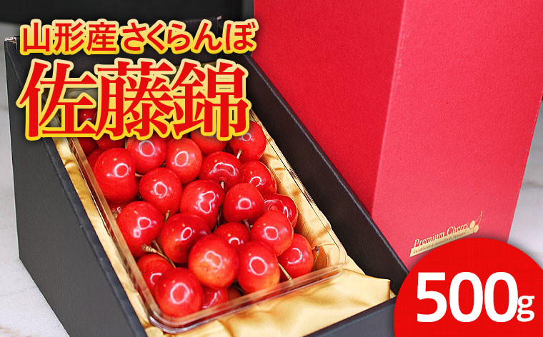 
            ★旬大粒★山形産 さくらんぼ 佐藤錦 2L 500g 【令和7年産先行予約】FU21-031 くだもの 果物 フルーツ 山形 山形県 山形市 2025年産
          