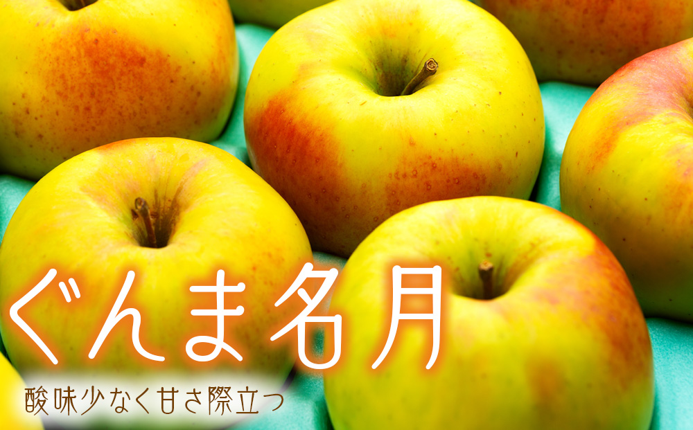 りんご ぐんま名月 4.5kg 14～18玉 贈答用 果物 くだもの フル