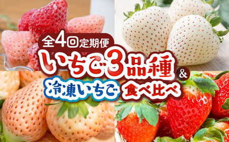 【2026年発送分 先行予約】【全4回定期便】岸川農園 超希少品種入り赤白いちご（淡雪・さがほのか・こころの色・冷凍いちご） / 佐賀県 / 岸川農園 [41ASAG008]