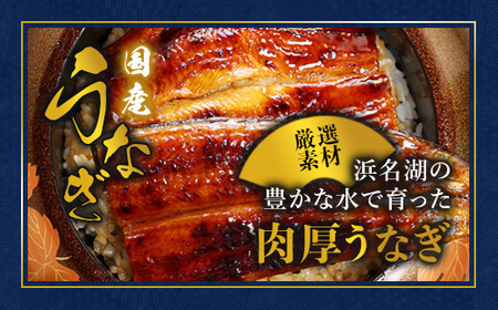 浜名湖産 うなぎ蒲焼き 特製タレ付き 1尾