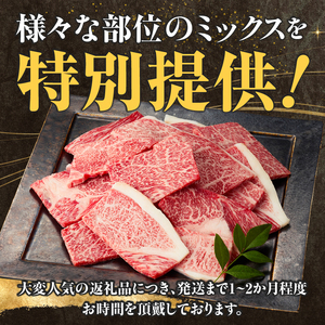【美味しい宮崎牛専門店ミヤチクからお届け】４等級以上宮崎牛訳あり焼肉バラエティパック　おためし500ｇ