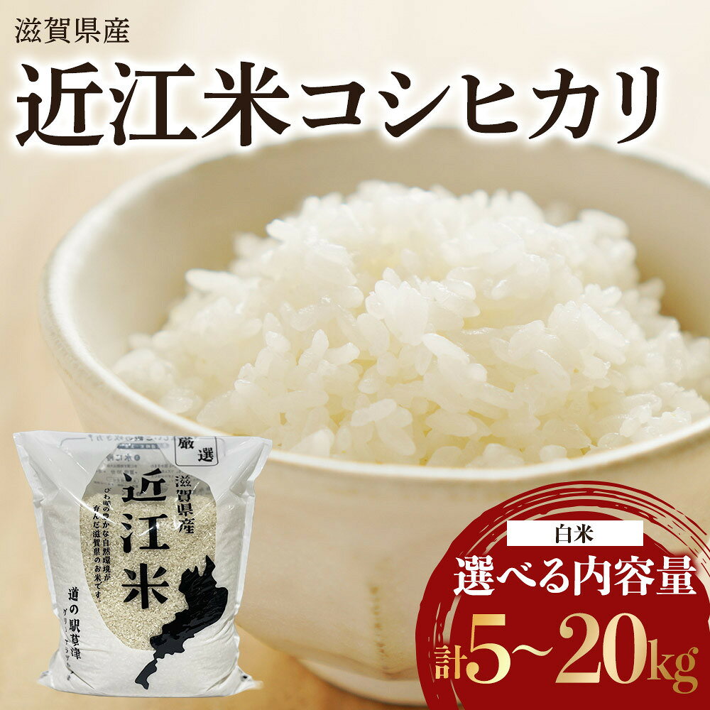 【ふるさと納税】【内容量が選べる】令和7年産　近江米コシヒカリ 白米 5kg・10kg・15kg・20kg