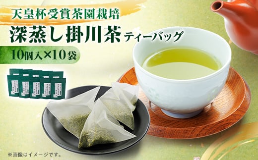 ＜深蒸し掛川茶＞天皇杯受賞茶園栽培茶ティーバッグ(5gX10個入)10袋【1091590】