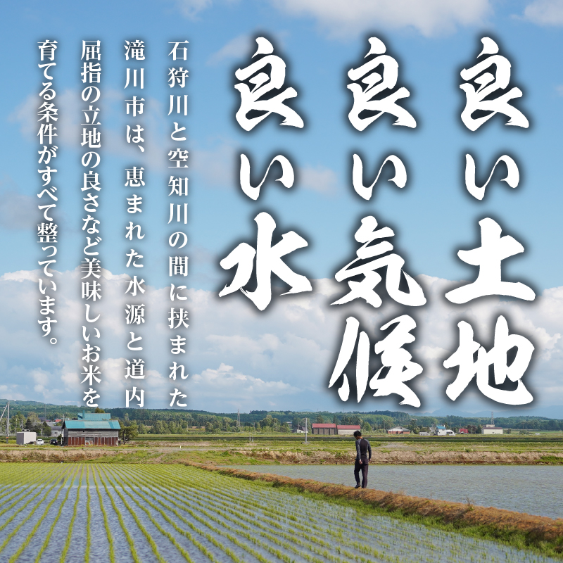 【令和7年産新米】6ヶ月連続お届け!ななつぼし10kg | 特A 新米 白米 ブランド米 米 こめ コメ お米 ご飯 ごはん 単一米 滝川市 北海道 北海道産 道産 北海道米 定期便 生活応援 送料無