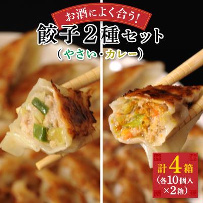 ふるさと納税 八雲町 お酒によく合う　八雲やさい餃子+スパイシーカレー餃子(各10個入×2箱)