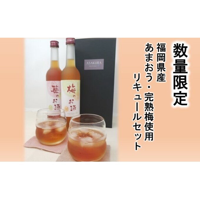 【数量限定】濃いめのお酒 飲み比べ 500ml×2本セット（苺のお酒/梅のお酒） 洋酒 リキュール 