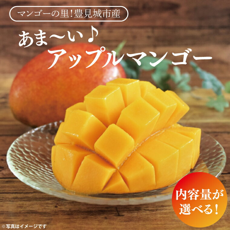 【ふるさと納税】 【選べる内容量】 【2026年6月下旬より順次発送】マンゴーの里！豊見城市産♪あま〜い♪アップルマンゴー (家庭用)｜マンゴー アップルマンゴー フルーツ 果物 くだもの 先行予約 沖縄 おきなわ 沖縄県 豊見城市 先行予約(BV007-1)