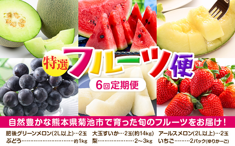 【定期便6回】特選 フルーツ 便 ( メロン すいか ぶどう 梨 いちご ) スイカ 葡萄 ブドウ ナシ なし 苺 イチゴ 果物 くだもの セット 詰合せ 定期便【メロンドーム】《お申込み月の翌月から出荷開始》st-p