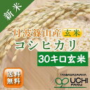 【ふるさと納税】令和6年産 新米　丹波篠山の大地で育まれたコシヒカリ　玄米30kg | 白米 100％単一原料米 産地直送米 贈答 おいしい お米 コシヒカリ ブランド おこめ 健康 ギフト 内祝い 贈り物 送料無料 おすすめ 人気 口コミ