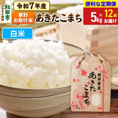 ふるさと納税 秋田市 定期便12ヶ月 あきたこまち 家計お助け 5kg 白米 令和7年|15_kml-210512h
