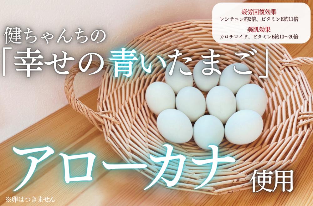 十勝の塩シフォンケーキ（プレーン）