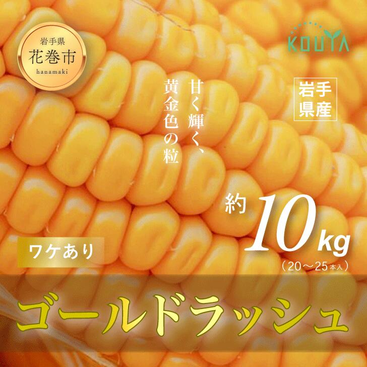 【ふるさと納税】 《先行予約》 【訳あり】 岩手県産 耕野のとうもろこし 「ゴールドラッシュ」 約10kg（20〜25本） スイートコーン 農家直送 6月下旬頃より発送開始
