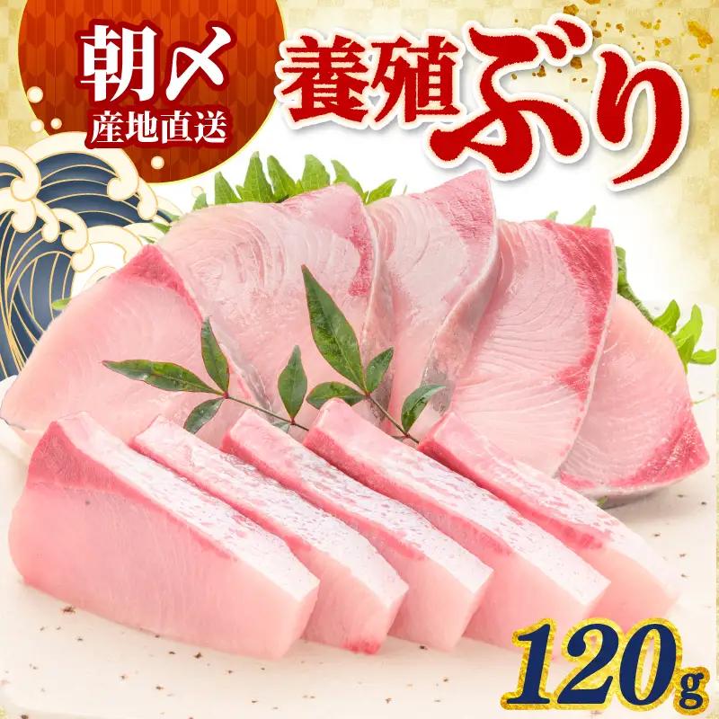 ぶり 120g 冷蔵 刺身 ブリ 鰤 お刺身 たたき しゃぶしゃぶ 鍋 カルパッチョ 丼 鮮魚 魚 お届け指定日 指定日 お試し 新鮮 魚介 海鮮 海産物 海鮮丼 養殖 刺し身 お刺し身 ブロック フィレ 柵 ギフト 国産 贈答用 お歳暮 お中元 お祝い 人気 サンライズファーム 高知県 四国 宿毛