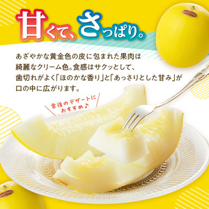 ★予約受付★（2024年5月以降発送）玄海町産キンショウメロン～4個～
