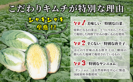 化学調味料不使用！信州望月高原こだわりキムチ 6個セット | 国産キムチ 白菜キムチ 発酵食品 漬物 信州キムチ 自家製キムチ 国産キムチ