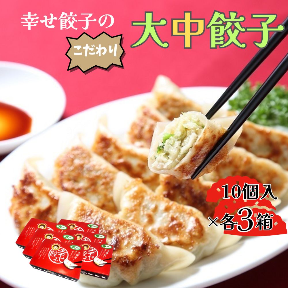 【ふるさと納税】ボリューム満点こだわり大・中餃子(6箱)【配送不可地域：離島・沖縄県】【1332570】016-06-1