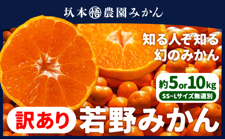 
                  訳あり みかん 若野みかん 約5kg or 約10kg サイズ無選別 圦本悟農園《12月上旬-2月中旬頃出荷》和歌山県 日高川町 旬 新鮮 果物 柑橘 フルーツ 国産 送料無料 ミカン みかん 温州みかん
                