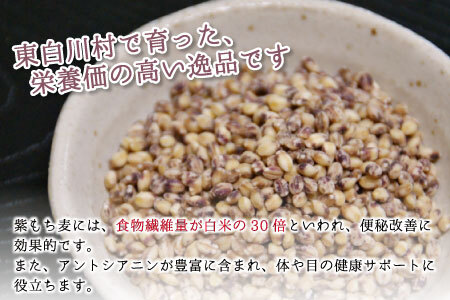 【令和7年度産】 東白川村産 紫もち麦 ダイシモチ 150g×2袋 計300g お米 こめ もち麦 雑穀 精米 ご飯 お取り寄せ