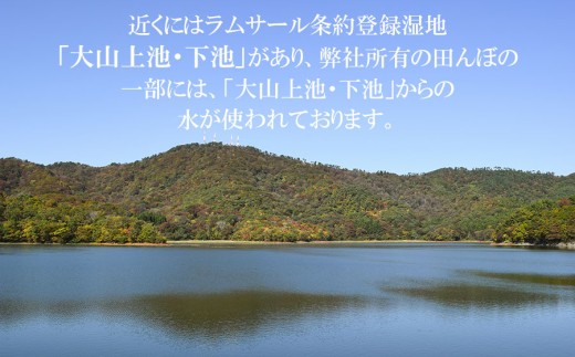 【令和8年産】 馬町さくらファームの特別栽培米つや姫 精米 5kg（5kg×1袋） K-835 | 米 つやひめ お米 5キロ コメ こめ ご飯 ごはん ブランド米 米どころ 庄内米 国産 美味しい 