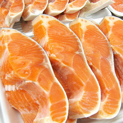 【ふるさと納税】甘塩トラウトサーモン 10切 鮭 さけ サケ しゃけ シャケ サーモン トラウトサーモン 塩鮭 切り身 魚 海産物 魚介 魚介類 惣菜 おかず ごはんのお供 朝ごはん お弁当 冷凍 新潟