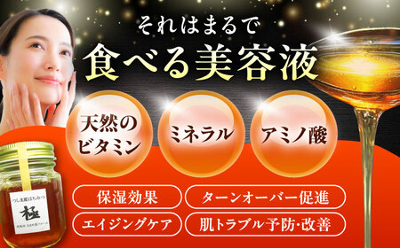 山里のめぐみセット 【さほの里ファーム】 《対馬市》 [WBG010]