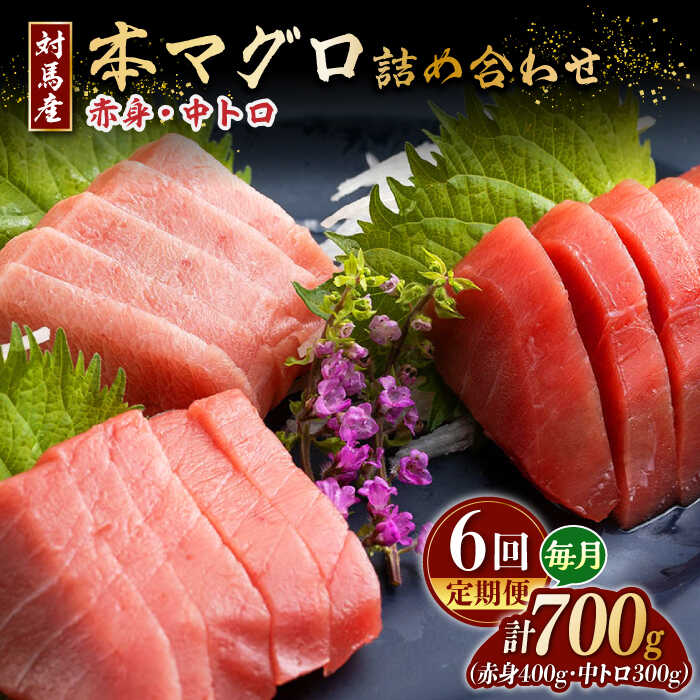 【ふるさと納税】【全6回定期便】対馬産 本マグロ 700g（赤身400g、中トロ300g） ≪対馬市≫【桐谷商店】 トロの華 対馬 新鮮 マグロ トロ 鮪 刺身 鮮度抜群[WAQ049]