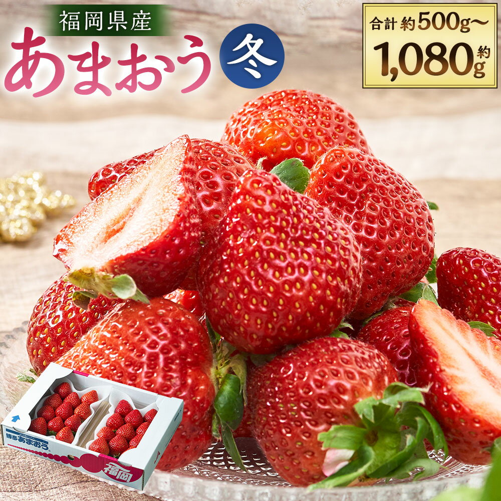 【ふるさと納税】福岡産【冬】あまおう 2パック もしくは 4パック （1パックあたり約250g～270g）いちご イチゴ 苺 ベリー 果物 くだもの フルーツ 冷蔵 国産 九州 福岡県 岡垣町 送料無料 【2025年12月上旬～2026年1月下旬発送予定】