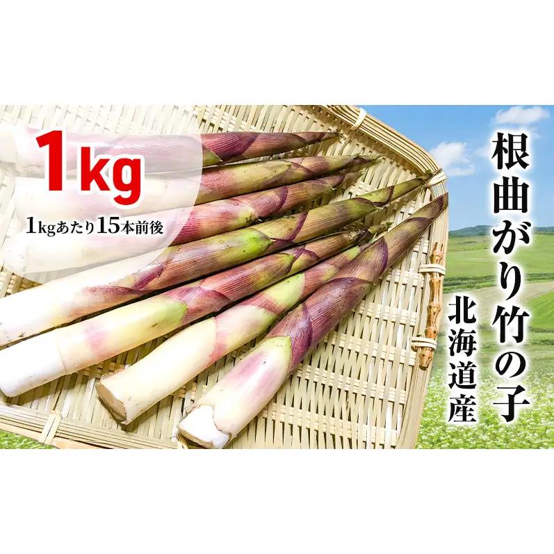 たけのこ 根曲がり竹の子 1kg 15本程度 山菜直売店中野渡 北海道産 竹の子 タケノコ 野菜 山菜 新鮮 味噌汁 春の恵 調理 冷蔵配送 北海道 芦別市