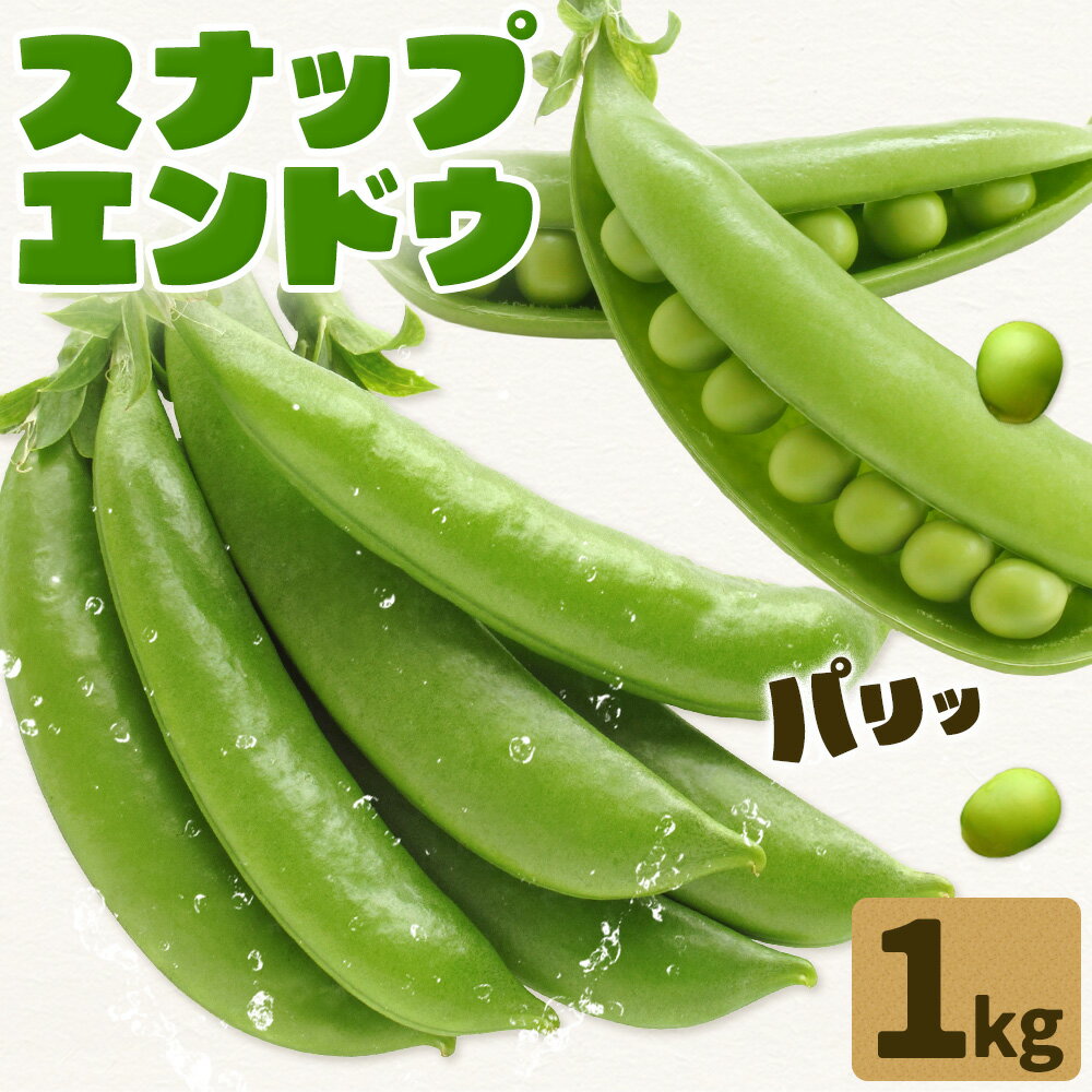 【ふるさと納税】スナップエンドウ 1kg 株式会社エフビーネット《3月上旬-4月中旬頃出荷》熊本県 氷川町 野菜 熊本県産 青果物 スナックエンドウ