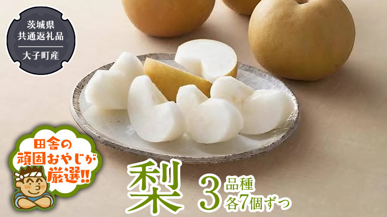 
            梨 3品種 各7個ずつ【8月より発送開始】（茨城県共通返礼品 [梨]：大子町産）田舎の頑固おやじが厳選！ なし ナシ 果物 フルーツ 茨城県産
          