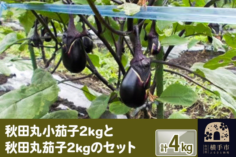 秋田丸小茄子2kgと秋田丸茄子2kgのセット 計4kg