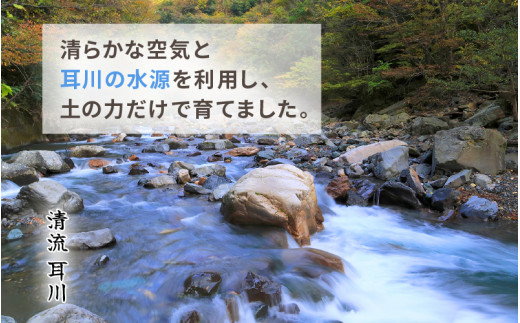 【令和8年産】定期便 ≪12ヶ月連続お届け≫長谷川農園の コシヒカリ 玄米 5kg × 12回 (計60kg) 【米 5kg お米 こしひかり 5キロ 玄米 ブランド米 ふるさと納税米 産地直送】 [