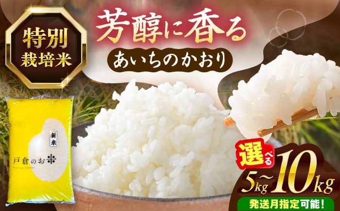 
            米 ＼選べる内容量・発送月／ あいちのかおり 白米 5kg / 10kg お米 精米 米 お米 5kg 5キロ 10kg 10キロ 白米 精米 新米 コメ ご飯 ごはん 愛知県産 国産 県産米 国産米 あいちのかおり 産地直送 令和7年 愛知県 愛西市 / 株式会社戸倉トラクター [AECS001-002] 
          