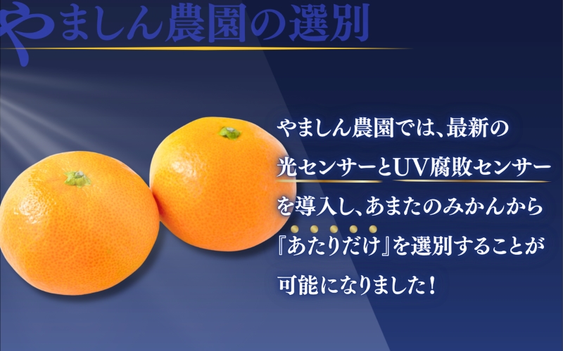 【先行予約】 ＼光センサー選別／極 有田みかんプレミアム 約5kg【光センサー 高糖度選別品】2S～Lサイズ 有機質肥料100% ※2025年11月下旬頃～2026年1月上旬頃に順次発送予定 ※北海道