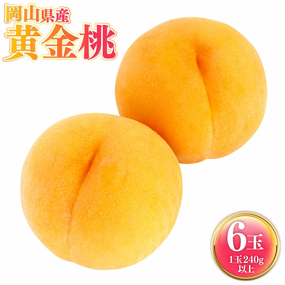 【ふるさと納税】岡山県産 黄金桃 6玉（1玉240g以上） 計1,440g以上 桃 もも モモ フルーツ くだもの 果物 果実 デザート 冷蔵 岡山県産 国産 岡山県 奈義町 送料無料 【2026年9月上旬～9月下旬発送予定】