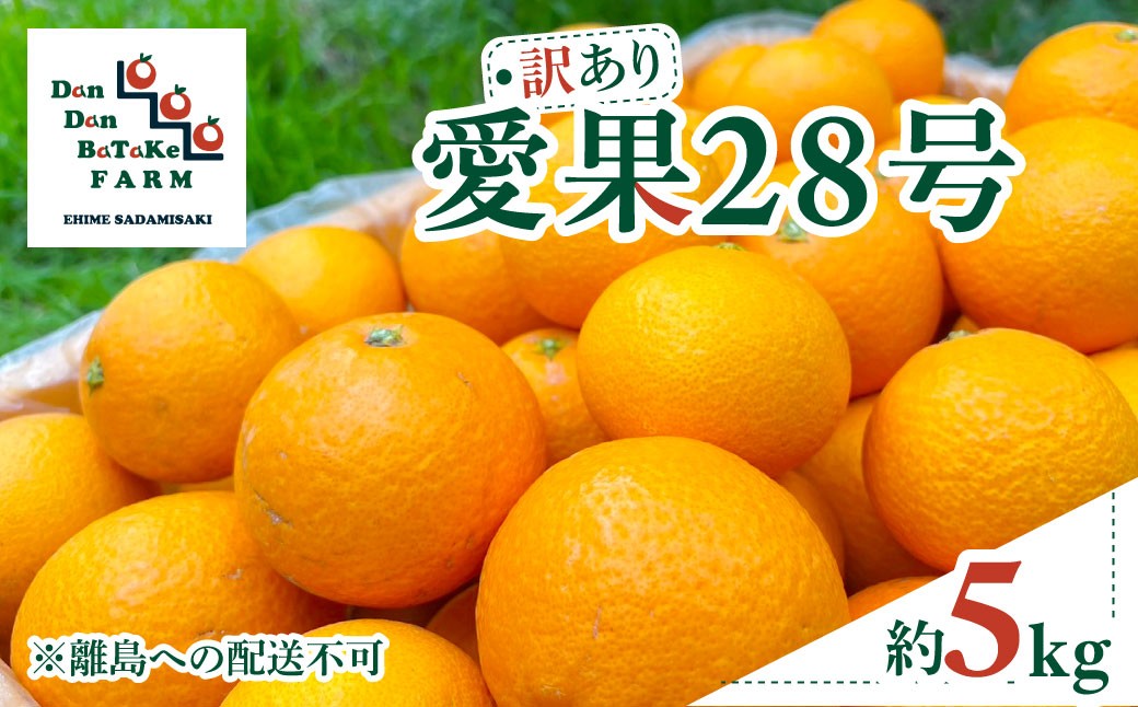 
                  【先行予約】【訳あり】愛果28号 約5kg（小玉） | 柑橘 みかん 果物 フルーツ 愛媛県産 農家直送　※離島への配送不可　※2026年12月下旬から順次発送予定  【ふるさと納税 人気 おすすめ ランキング 柑橘 みかん ミカン フルーツ mikan 果物 オレンジ 愛果28号 Dan Dan BaTaKe  FARM 愛媛県産 訳あり 愛媛県 伊方町 送料無料】 IKTAU003 
                