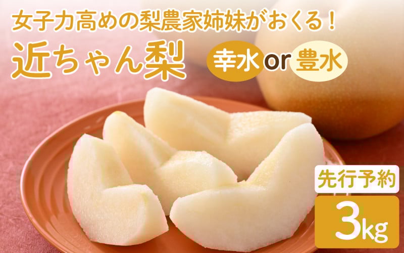 
            【先行予約】女子力高めの梨農家姉妹がおくる！ 近ちゃん梨 3kg（3L～5L） 6～8玉入り (幸水梨or豊水梨) 【2025年8月中旬～9月下旬発送予定】【梨 なし フルーツ 甘い みずみずしい 果実 果物 新鮮 旬の果物】 [A-6318]
          
