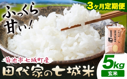 【3ヶ月定期便】令和7年産 菊池市七城町産 田代家の七城米 七城ヒノヒカリ 玄米 5kg 田代こめや《お申込み翌月から出荷》熊本県 菊池市 米 お米 精米 ひのひかり 菊池市産 熊本県産 九州産 送料無料