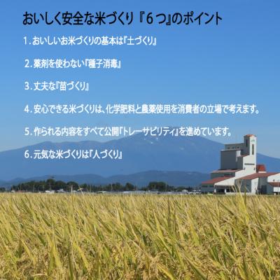 ふるさと納税 庄内町 JAあまるめ 山形県庄内町産 特別栽培米つや姫 5kg×1袋 令和7年産 2025年産 ブランド米 |  | 01