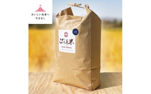 冷めても美味しい!＜令和7年産＞こぴっと米＜五百川＞白米・10kg　特別栽培米【1652044】